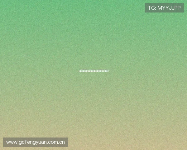 二零二六世界杯针对儿童球迷的入场保障赛